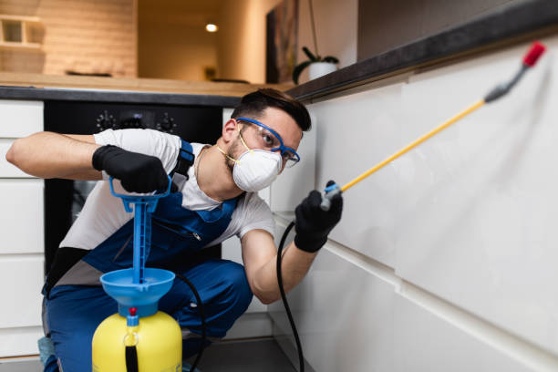 Best Termite Control Services  in Myrtle Creek, OR