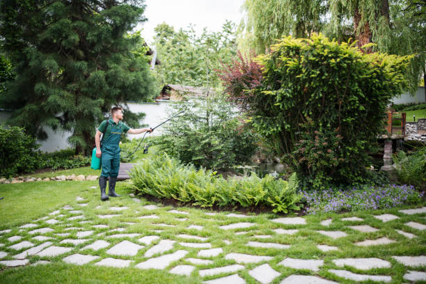Best Pest Removal Services  in Myrtle Creek, OR