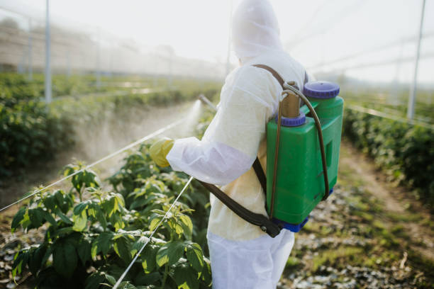 Best Commercial Pest Control Services  in Myrtle Creek, OR